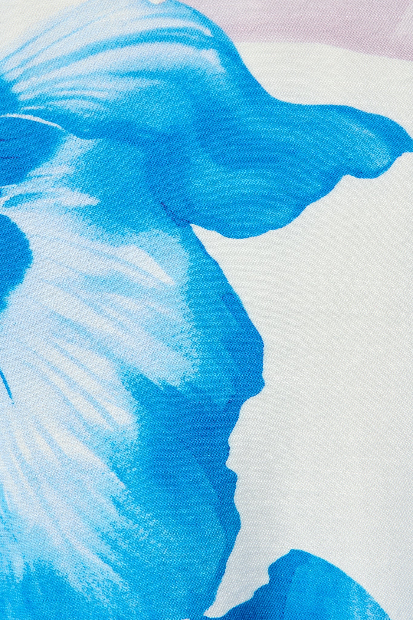 Callista Midi Dress in White with Blue Floral - Image 6