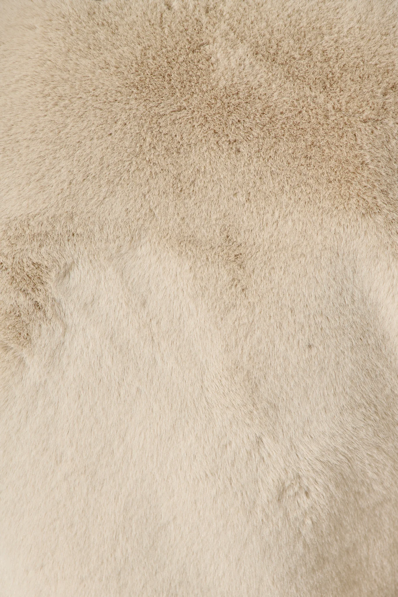 Cher Faux Fur Jacket In Beige - Image 6