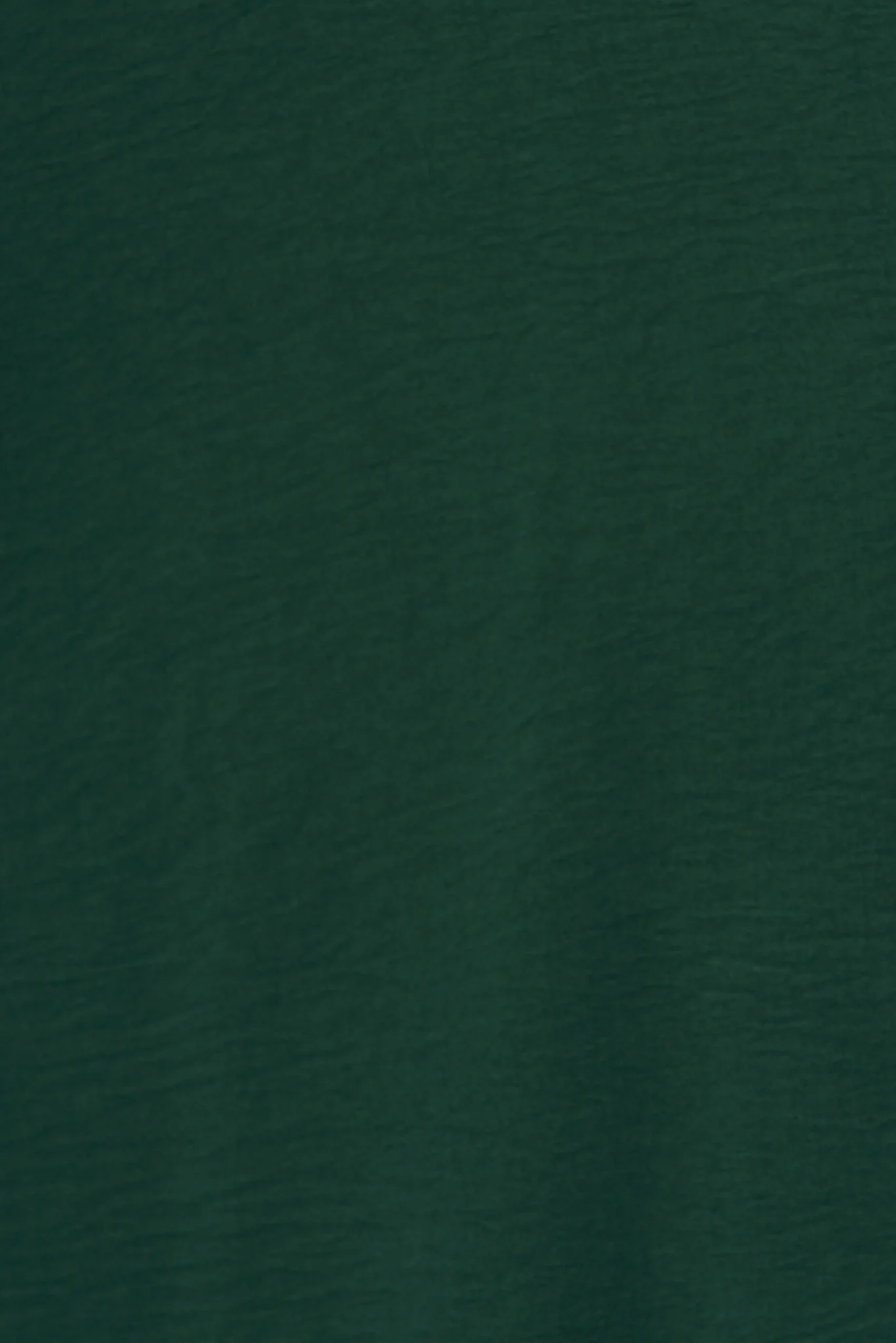 Page Pants In Emerald - Image 13