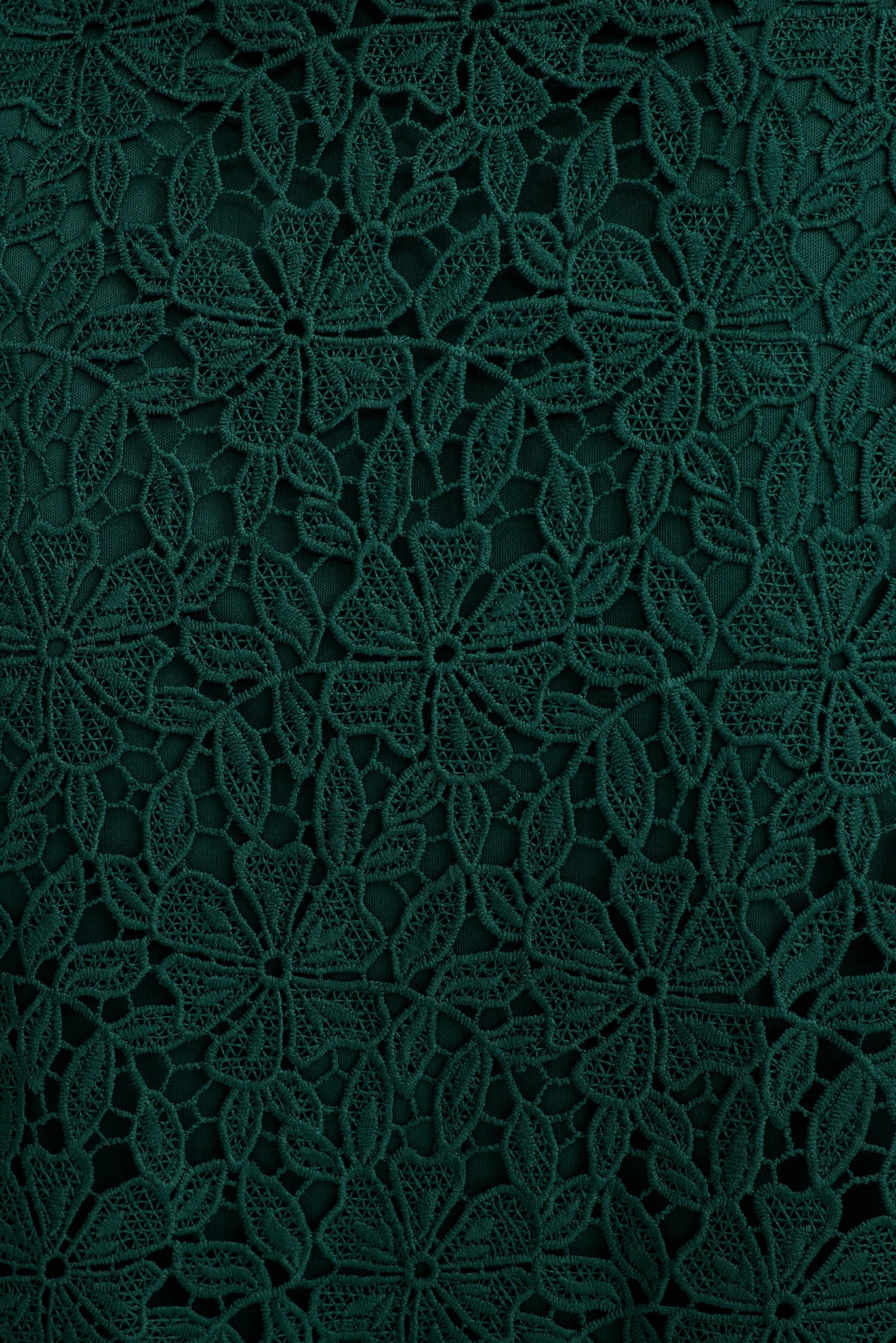 Something Special Maxi Lace Dress in Emerald - Image 10
